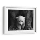 Los principios del oso polar | Cuadro decorativo de Canvas Lab