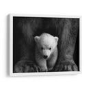 Los principios del oso polar | Cuadro decorativo de Canvas Lab