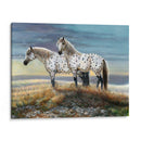 Appaloosa Sundown - Carolyn Mock | Cuadro decorativo de Canvas Lab