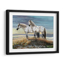 Appaloosa Sundown - Carolyn Mock | Cuadro decorativo de Canvas Lab