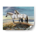 Appaloosa Sundown - Carolyn Mock | Cuadro decorativo de Canvas Lab