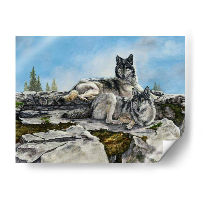 Montaña De La Mañana - Carolyn Mock | Cuadro decorativo de Canvas Lab