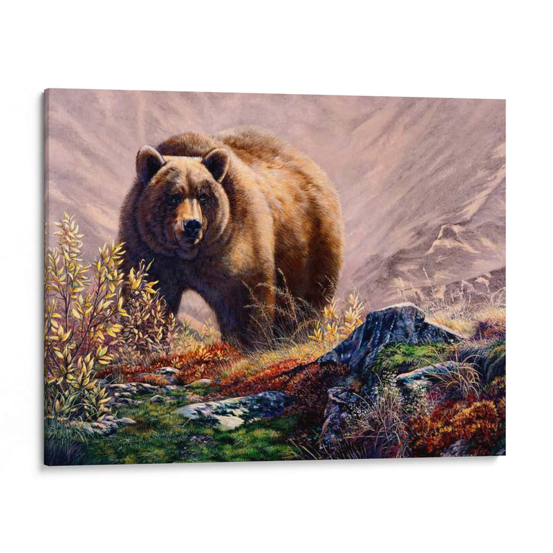 Beary Delight - Carolyn Mock | Cuadro decorativo de Canvas Lab