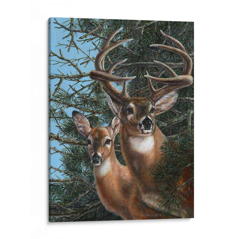 Edge Of The Pines - Carolyn Mock | Cuadro decorativo de Canvas Lab