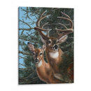 Edge Of The Pines - Carolyn Mock | Cuadro decorativo de Canvas Lab