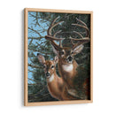 Edge Of The Pines - Carolyn Mock | Cuadro decorativo de Canvas Lab