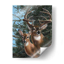 Edge Of The Pines - Carolyn Mock | Cuadro decorativo de Canvas Lab