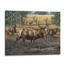 Su Majestad - Carolyn Mock | Cuadro decorativo de Canvas Lab