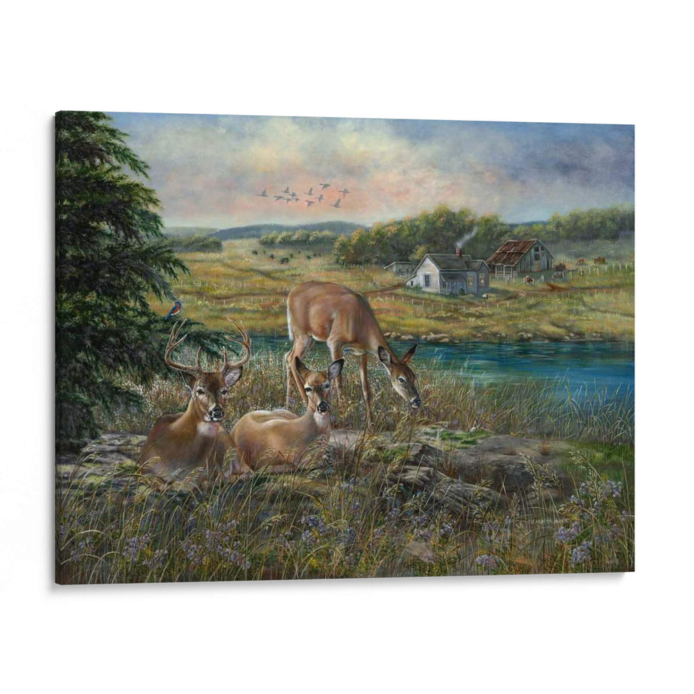 Sombras De La Tarde - Carolyn Mock | Cuadro decorativo de Canvas Lab