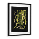 Hojas Verdes En El IV Negro - Vision Studio | Cuadro decorativo de Canvas Lab