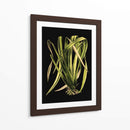 Hojas Verdes En El IV Negro - Vision Studio | Cuadro decorativo de Canvas Lab