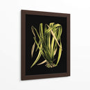 Hojas Verdes En El IV Negro - Vision Studio | Cuadro decorativo de Canvas Lab