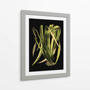Hojas Verdes En El IV Negro - Vision Studio | Cuadro decorativo de Canvas Lab