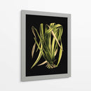 Hojas Verdes En El IV Negro - Vision Studio | Cuadro decorativo de Canvas Lab