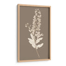 Taupe Estudio De La Naturaleza III - Vision Studio | Cuadro decorativo de Canvas Lab