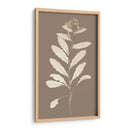 Taupe Estudio De La Naturaleza IV - Vision Studio | Cuadro decorativo de Canvas Lab