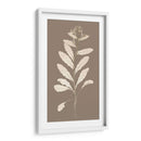 Taupe Estudio De La Naturaleza IV - Vision Studio | Cuadro decorativo de Canvas Lab