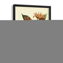 Me Magnífico Follaje - Vision Studio | Cuadro decorativo de Canvas Lab