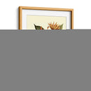 Me Magnífico Follaje - Vision Studio | Cuadro decorativo de Canvas Lab