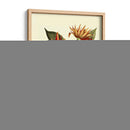 Me Magnífico Follaje - Vision Studio | Cuadro decorativo de Canvas Lab