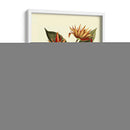 Me Magnífico Follaje - Vision Studio | Cuadro decorativo de Canvas Lab