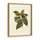 Magnificent Foliage IV - Vision Studio | Cuadro decorativo de Canvas Lab