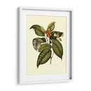 Magnificent Foliage IV - Vision Studio | Cuadro decorativo de Canvas Lab