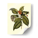 Magnificent Foliage IV - Vision Studio | Cuadro decorativo de Canvas Lab