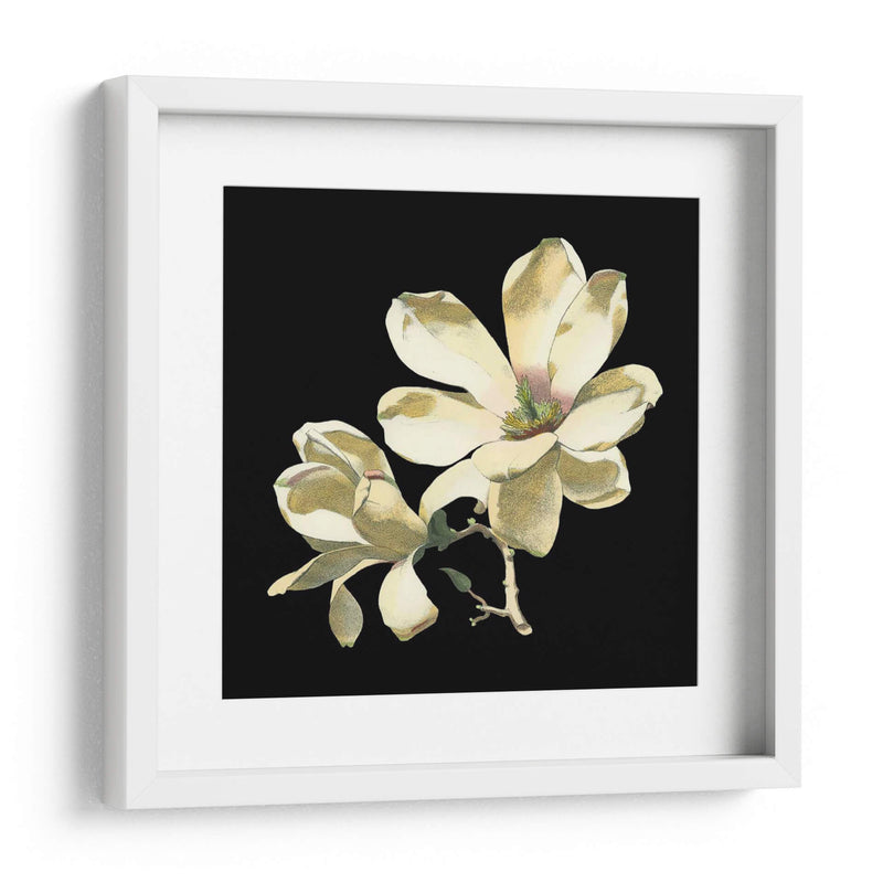 Medianoche Magnolias I - Chabal Dussurgey | Cuadro decorativo de Canvas Lab