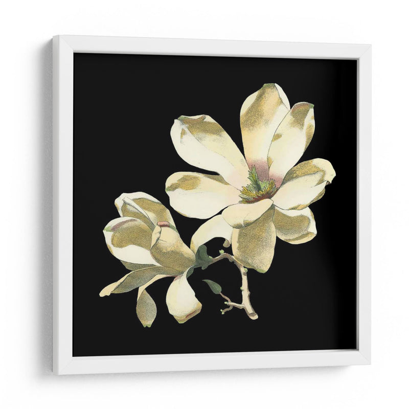 Medianoche Magnolias I - Chabal Dussurgey | Cuadro decorativo de Canvas Lab