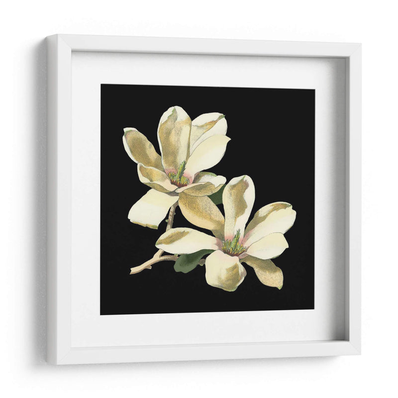 Medianoche Magnolias II - Chabal Dussurgey | Cuadro decorativo de Canvas Lab