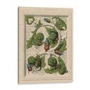 Decorativa Del Flourish II - Vision Studio | Cuadro decorativo de Canvas Lab