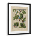 Decorativa Del Flourish II - Vision Studio | Cuadro decorativo de Canvas Lab