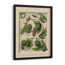 Decorativa Del Flourish II - Vision Studio | Cuadro decorativo de Canvas Lab