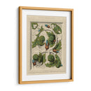 Decorativa Del Flourish II - Vision Studio | Cuadro decorativo de Canvas Lab