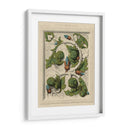 Decorativa Del Flourish II - Vision Studio | Cuadro decorativo de Canvas Lab