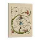 Decorativo Flourish III - Vision Studio | Cuadro decorativo de Canvas Lab