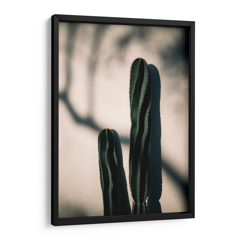 Luz y sombra de cactus | Cuadro decorativo de Canvas Lab