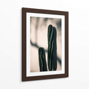 Luz y sombra de cactus | Cuadro decorativo de Canvas Lab