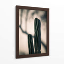 Luz y sombra de cactus | Cuadro decorativo de Canvas Lab