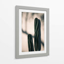 Luz y sombra de cactus | Cuadro decorativo de Canvas Lab