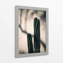 Luz y sombra de cactus | Cuadro decorativo de Canvas Lab