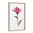 Floral De La Acuarela II - Kiana Mosley | Cuadro decorativo de Canvas Lab