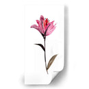 Floral De La Acuarela II - Kiana Mosley | Cuadro decorativo de Canvas Lab