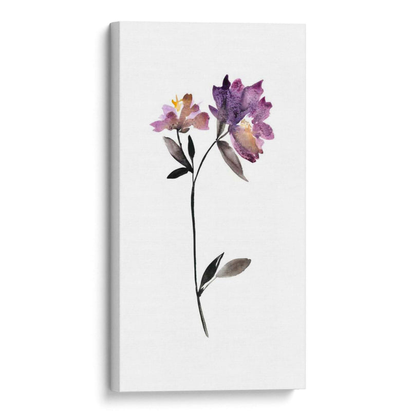 Floral De La Acuarela III - Kiana Mosley | Cuadro decorativo de Canvas Lab