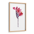 Floral De La Acuarela V - Kiana Mosley | Cuadro decorativo de Canvas Lab