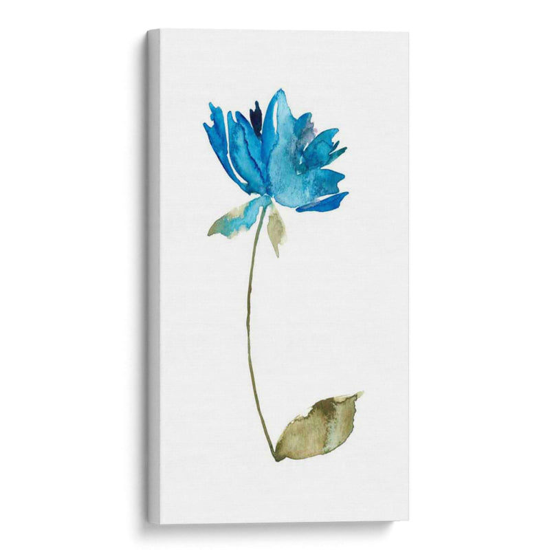 Floral De La Acuarela VI - Kiana Mosley | Cuadro decorativo de Canvas Lab