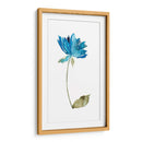 Floral De La Acuarela VI - Kiana Mosley | Cuadro decorativo de Canvas Lab