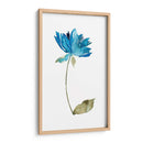 Floral De La Acuarela VI - Kiana Mosley | Cuadro decorativo de Canvas Lab