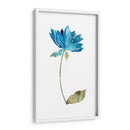 Floral De La Acuarela VI - Kiana Mosley | Cuadro decorativo de Canvas Lab